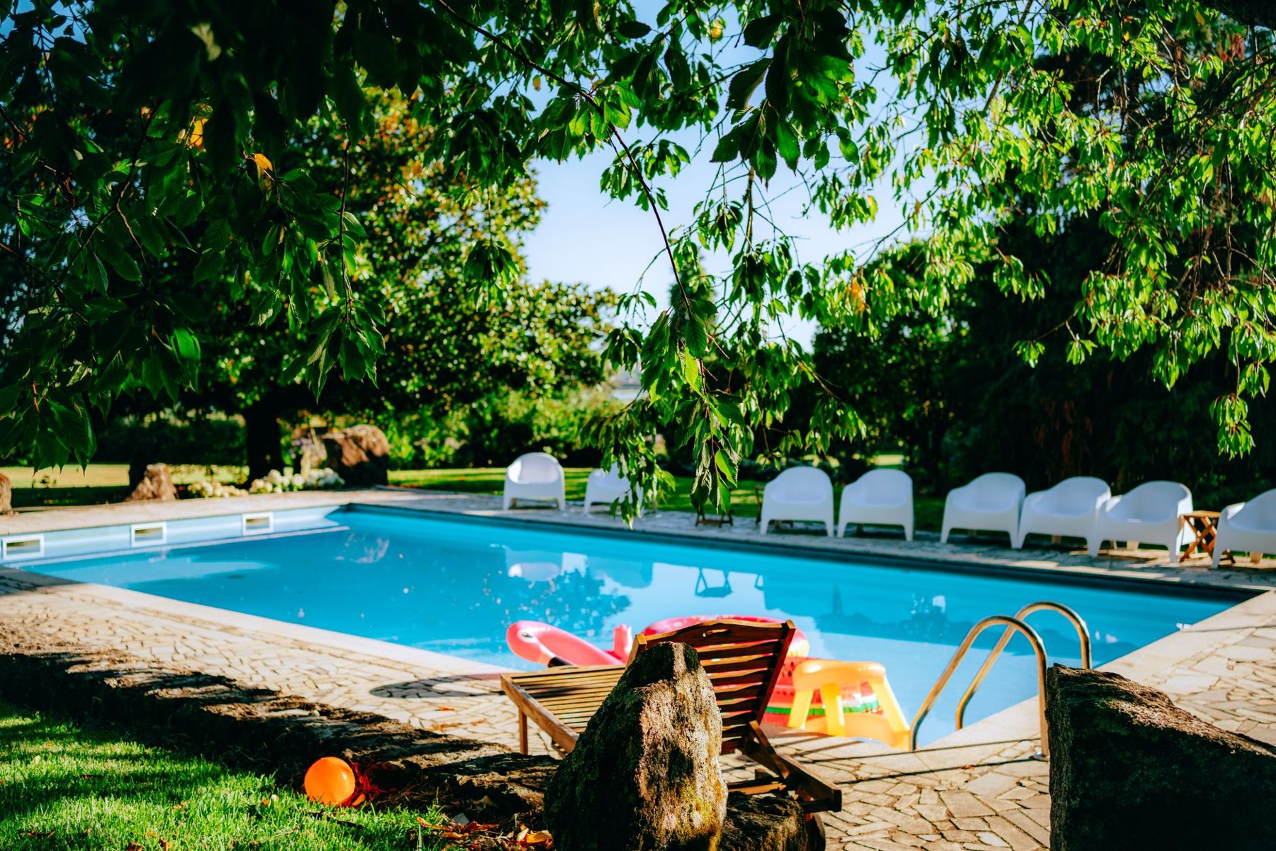 Green Pool Cleanup in Surprise AZ